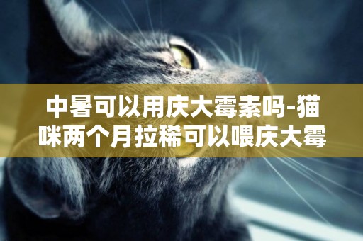 中暑可以用慶大霉素嗎-貓咪兩個月拉稀可以喂慶大霉素嗎
