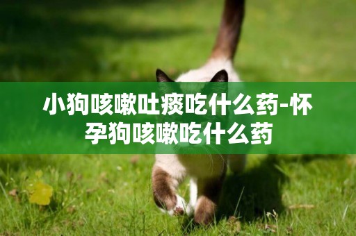 小狗咳嗽吐痰吃什么藥-懷孕狗咳嗽吃什么藥