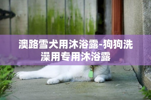 澳路雪犬用沐浴露-狗狗洗澡用專用沐浴露