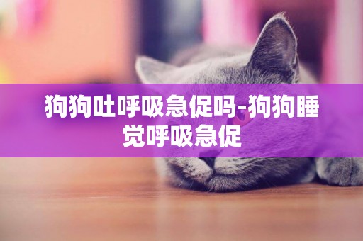 狗狗吐呼吸急促嗎-狗狗睡覺呼吸急促