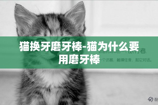 貓換牙磨牙棒-貓為什么要用磨牙棒