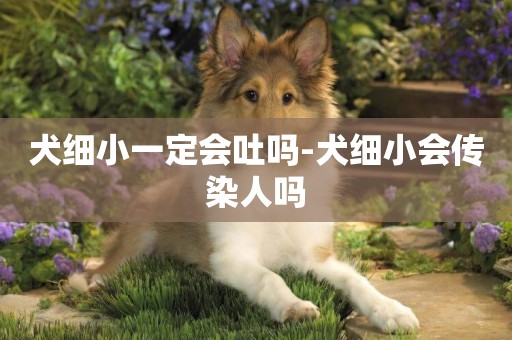 犬細小一定會吐嗎-犬細小會傳染人嗎