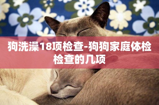 狗洗澡18項檢查-狗狗家庭體檢檢查的幾項