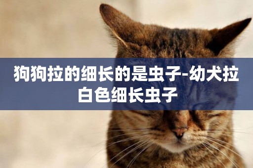 狗狗拉的細長的是蟲子-幼犬拉白色細長蟲子