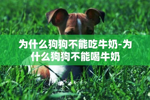 為什么狗狗不能吃牛奶-為什么狗狗不能喝牛奶