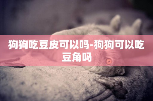 狗狗吃豆皮可以嗎-狗狗可以吃豆角嗎
