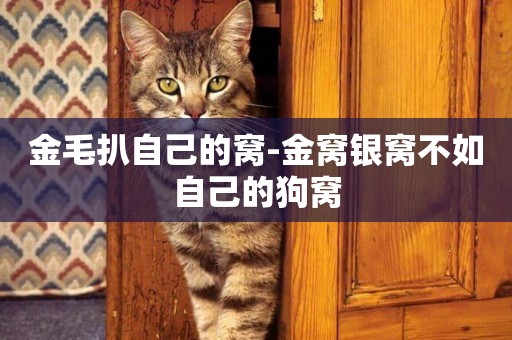 金毛扒自己的窩-金窩銀窩不如自己的狗窩