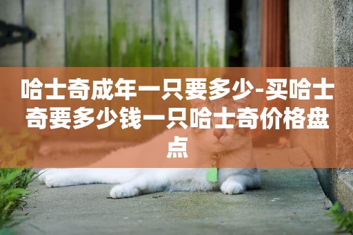 哈士奇成年一只要多少-買哈士奇要多少錢一只哈士奇價格盤點