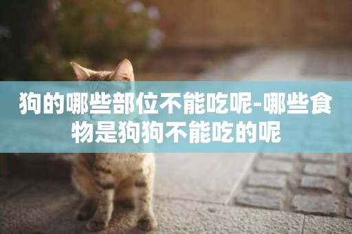 狗的哪些部位不能吃呢-哪些食物是狗狗不能吃的呢