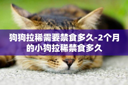 狗狗拉稀需要禁食多久-2個月的小狗拉稀禁食多久