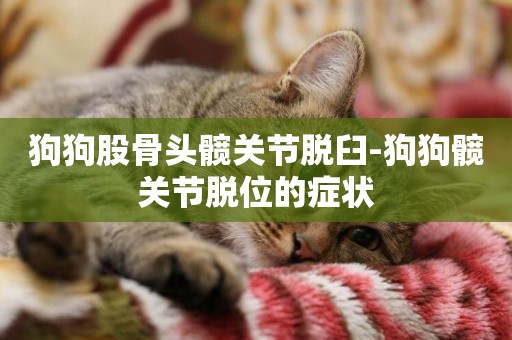 狗狗股骨頭髖關節脫臼-狗狗髖關節脫位的癥狀