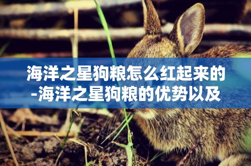 海洋之星狗糧怎么紅起來的-海洋之星狗糧的優勢以及作用