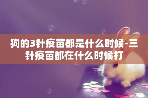 狗的3針疫苗都是什么時候-三針疫苗都在什么時候打