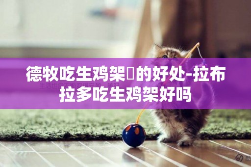 德牧吃生雞架沬的好處-拉布拉多吃生雞架好嗎