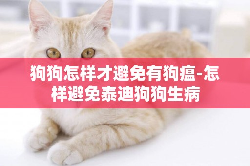 狗狗怎樣才避免有狗瘟-怎樣避免泰迪狗狗生病