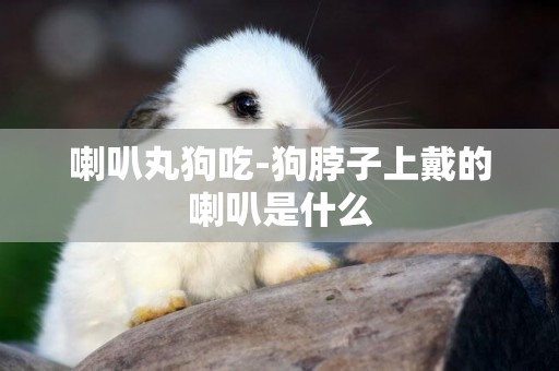 喇叭丸狗吃-狗脖子上戴的喇叭是什么