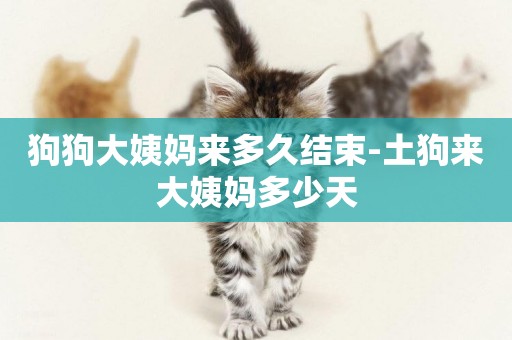 狗狗大姨媽來多久結束-土狗來大姨媽多少天