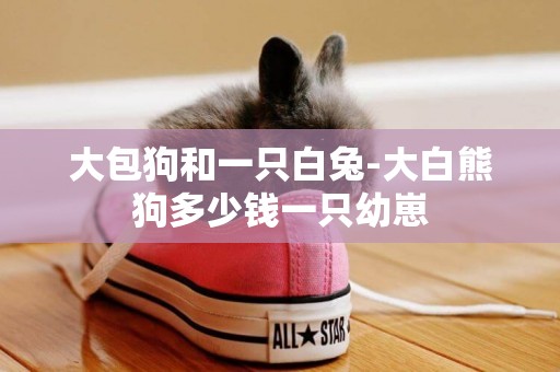 大包狗和一只白兔-大白熊狗多少錢一只幼崽