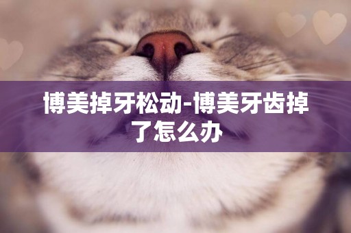 博美掉牙松動-博美牙齒掉了怎么辦