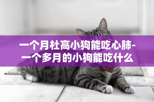 一個月杜高小狗能吃心肺-一個多月的小狗能吃什么
