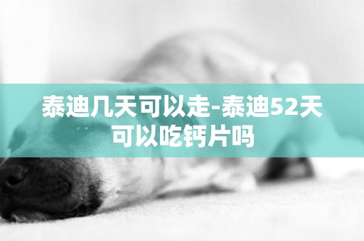 泰迪幾天可以走-泰迪52天可以吃鈣片嗎