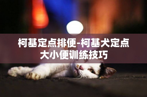 柯基定點排便-柯基犬定點大小便訓練技巧