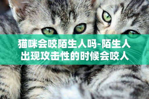 貓咪會咬陌生人嗎-陌生人出現攻擊性的時候會咬人