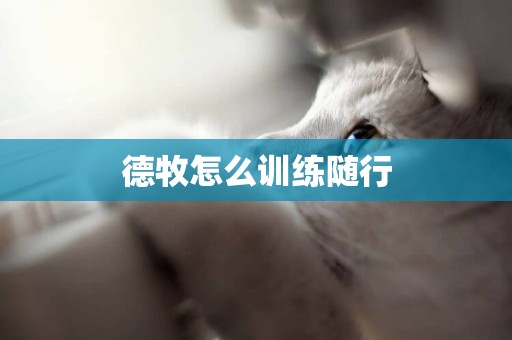 德牧怎么訓練隨行