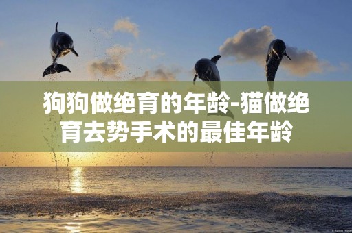 狗狗做絕育的年齡-貓做絕育去勢手術的最佳年齡