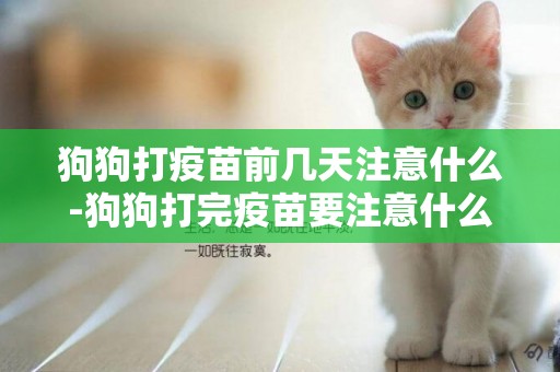 狗狗打疫苗前幾天注意什么-狗狗打完疫苗要注意什么