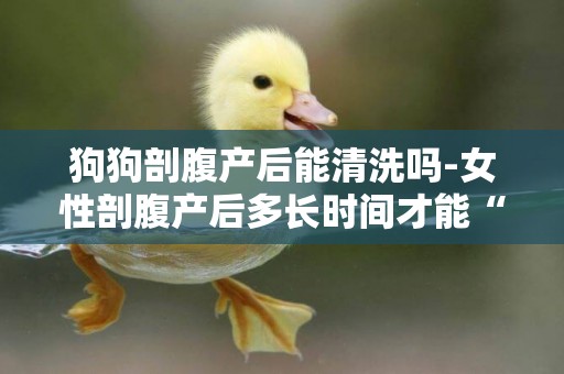 狗狗剖腹產后能清洗嗎-女性剖腹產后多長時間才能“洗澡”