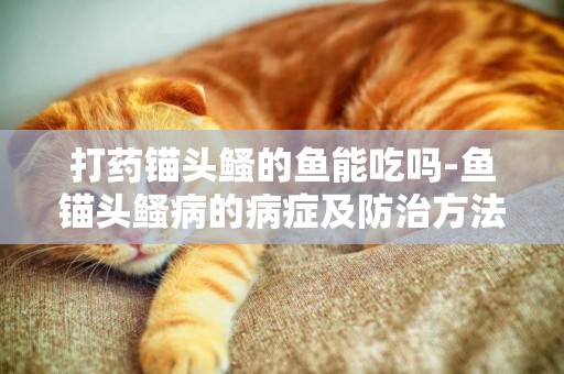 打藥錨頭鳋的魚能吃嗎-魚錨頭鳋病的病癥及防治方法
