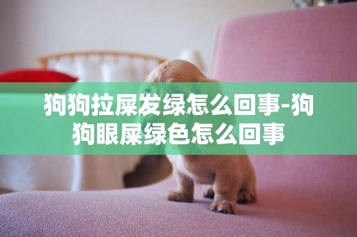 狗狗拉屎發綠怎么回事-狗狗眼屎綠色怎么回事