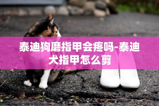 泰迪狗磨指甲會疼嗎-泰迪犬指甲怎么剪