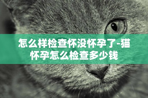 怎么樣檢查懷沒懷孕了-貓懷孕怎么檢查多少錢