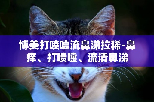 博美打噴嚏流鼻涕拉稀-鼻癢、打噴嚏、流清鼻涕