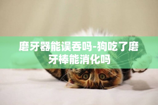 磨牙器能誤吞嗎-狗吃了磨牙棒能消化嗎