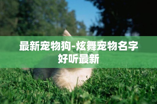 最新寵物狗-炫舞寵物名字好聽最新