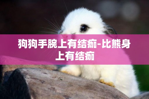 狗狗手腕上有結痂-比熊身上有結痂