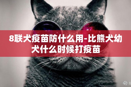 8聯犬疫苗防什么用-比熊犬幼犬什么時候打疫苗