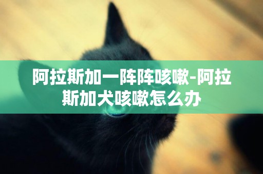 阿拉斯加一陣陣咳嗽-阿拉斯加犬咳嗽怎么辦