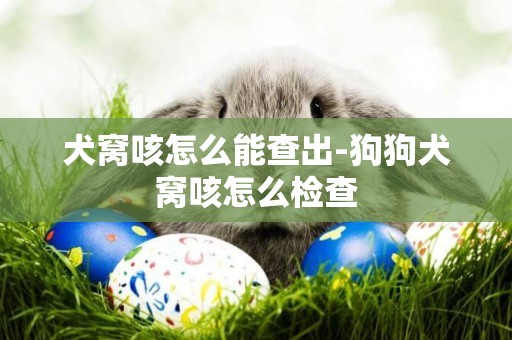 犬窩咳怎么能查出-狗狗犬窩咳怎么檢查