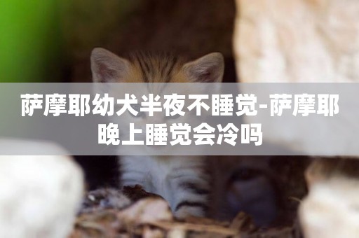 薩摩耶幼犬半夜不睡覺-薩摩耶晚上睡覺會冷嗎