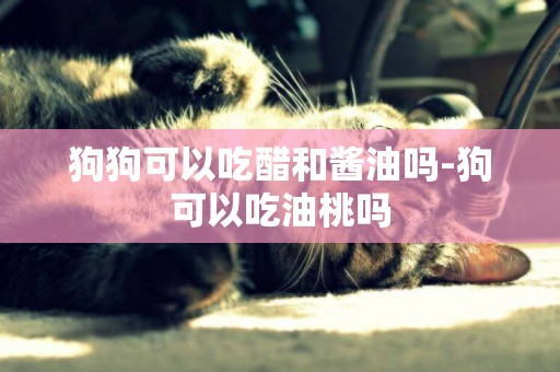 狗狗可以吃醋和醬油嗎-狗可以吃油桃嗎
