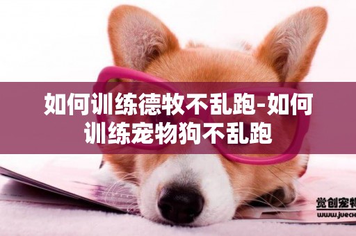 如何訓練德牧不亂跑-如何訓練寵物狗不亂跑