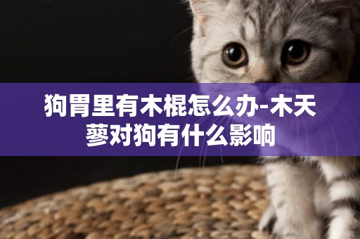 狗胃里有木棍怎么辦-木天蓼對狗有什么影響