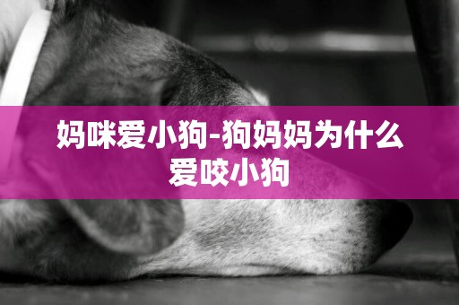 媽咪愛小狗-狗媽媽為什么愛咬小狗