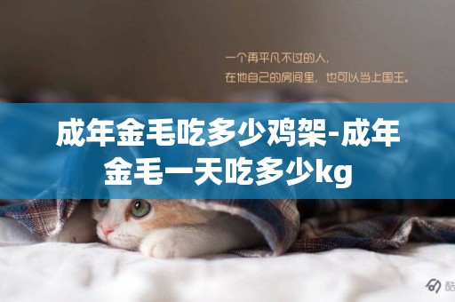 成年金毛吃多少雞架-成年金毛一天吃多少kg