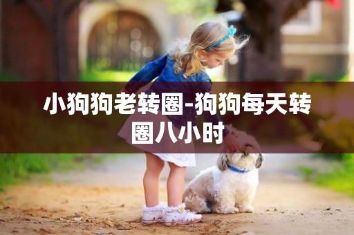 小狗狗老轉圈-狗狗每天轉圈八小時