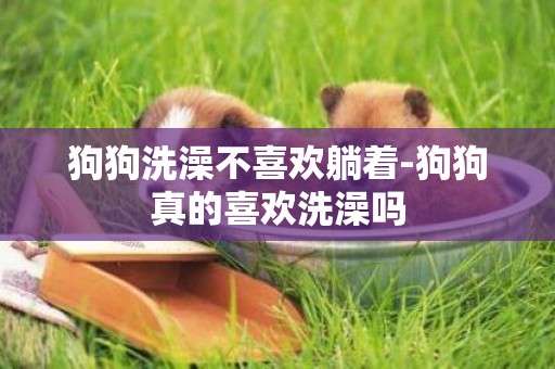 狗狗洗澡不喜歡躺著-狗狗真的喜歡洗澡嗎